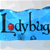 Lady Bug