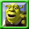 Shrek N Slide