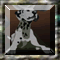The Broken Bridge Hidden Object