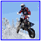 Winter Rider