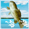 Bass Fishing Pro Score: 300