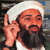 Bin Laden Liquors