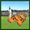 Test Catch Cricket